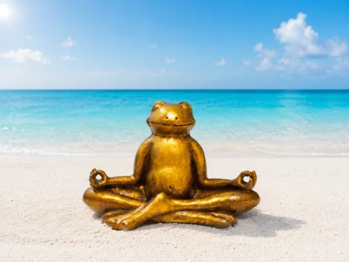 Frosch am Strand in meditativer Stellung praktiziert Energiearbeit und Aura-Clearing